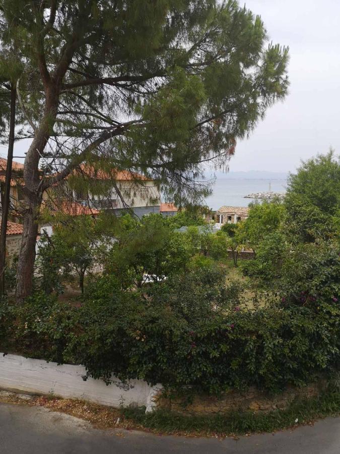 Panos & Antzy Apartments Kalamata Exterior foto